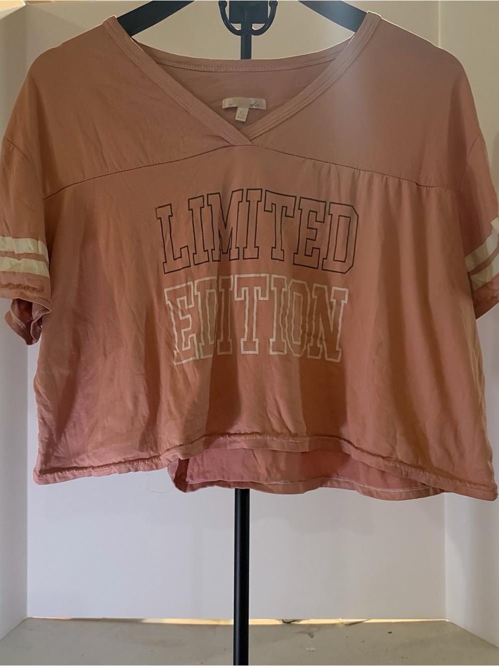 chic Dusty Rose Top